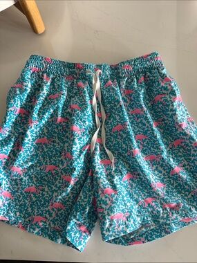 chubbies Teal Shorts with Pink Flamingo Print
